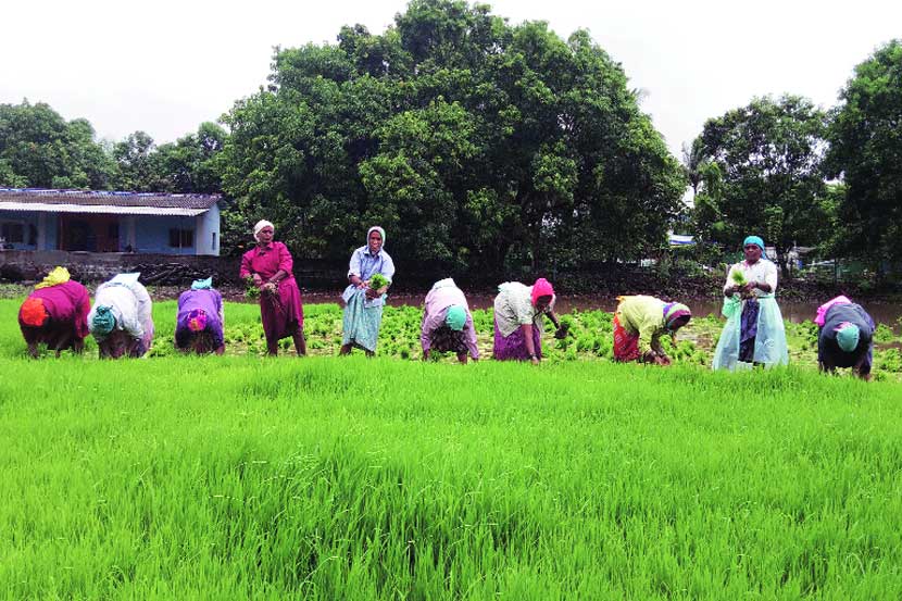 ( संग्रहीत प्रतिकात्मक छायाचित्र )