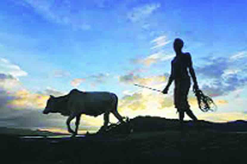 (प्रतिकात्मक छायाचित्र )
(प्रतिकात्मक छायाचित्र )