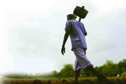 farmers, farmers, marathwada,marathi news, marathi, Marathi news paper