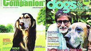 India Pet Magazine