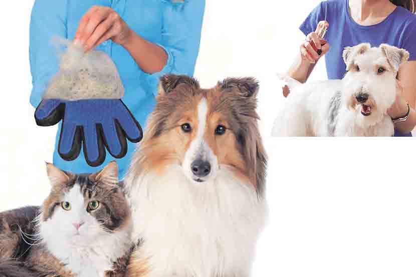 Pet Cosmetics Pet Cosmetics
