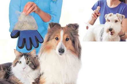 Pet Cosmetics Pet Cosmetics