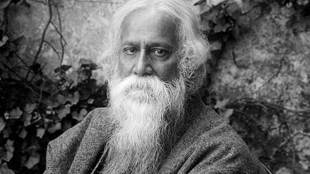 Prakash Javedekar , Government has no plans , Rabindranath Tagore , school books , NCERT books, RSS-affiliated Shiksha Sanskriti Utthan , dinanath batra , Loksatta, loksatta news, Marathi, Marathi news