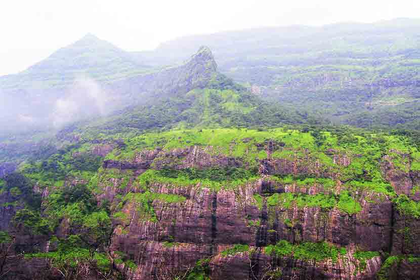 पुण्याजवळ मुळशी तालुक्यातील अंधारबन हे ठिकाण उत्तम आहे