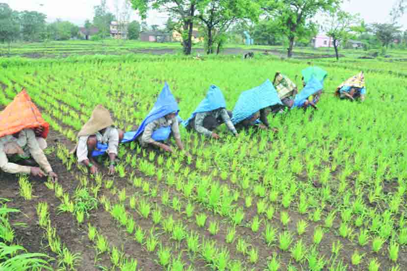 वर्ध्यात कर्जमाफीच्या अंमलबजावणीचे त्रांगडे
