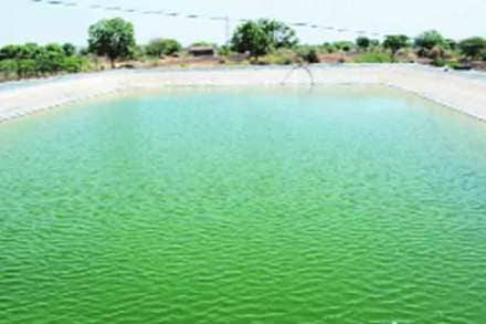 ( संग्रहीत प्रतिकात्मक छायाचित्र )