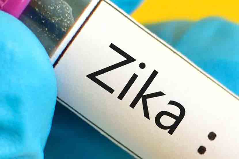 zika virus zika virus