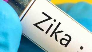 zika virus