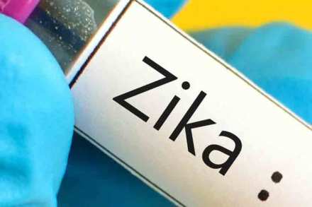 zika virus