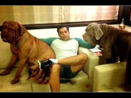 salman khan