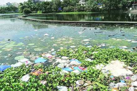 विसर्जन तलावांमध्ये अस्वच्छतेचे राज्य