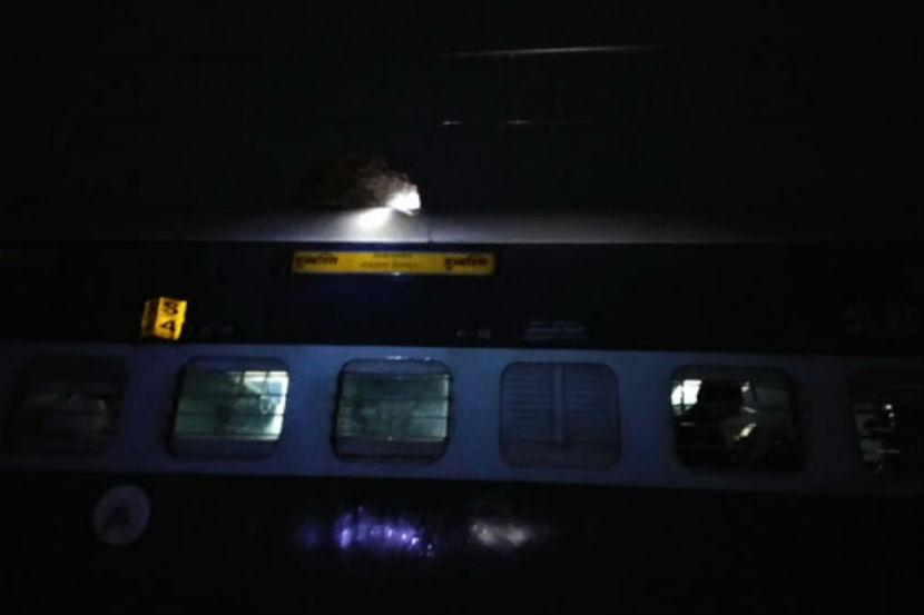 Loksatta, Loksatta news, loksatta newspaper, marathi news, marathi, Marathi news paper, Marathi news online, Marathi, Samachar, Marathi latest news, mumbai- pune railway updates, mumbai pune railway, landslide, hubli express, monkey hill, khandala, passengers, injured