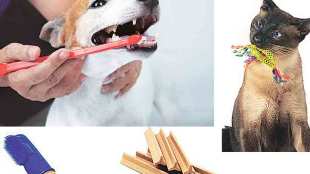 Pet Health Issues