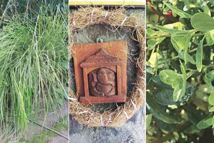 अत्तरातील खास भारतीय सुगंध मोगरा, गुलाब, वाळा, चंदन, केवडा, दवणा, मेंदी असे अनेक आहेत. 