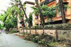 पदपथ पादचाऱ्यांसाठी की फांद्यांसाठी?