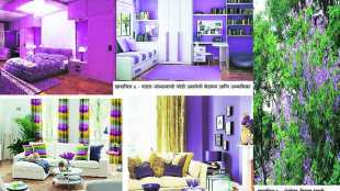 Purple Paint Colors