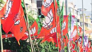 Grouping in BJP