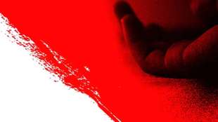 young man killed his brother, pimpari chinchwad,marathi news, marathi, Marathi news paper, Marathi news online