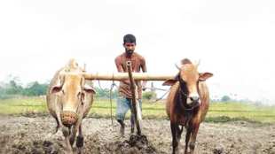 farmers debt waiver