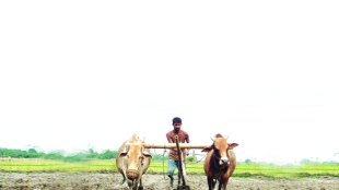 Farm loan waiver