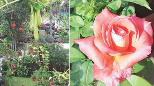 home  front garden,