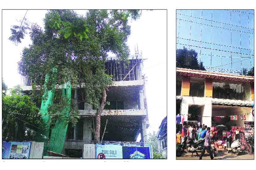 चेंबूरमधील इमारतीचे बांधकाम सुरू असताना समोर झाड होते. मात्र, या झाडाची नंतर कत्तल करण्यात आली.