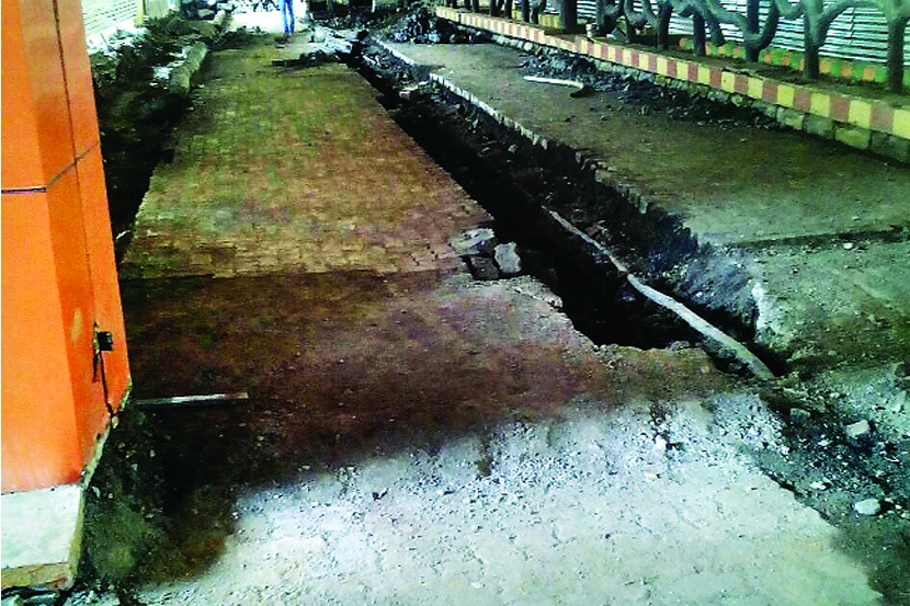मेट्रोच्या कामांचा उद्यानाला फटका