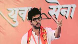 We will leave the government in a year and will come to power , BJP, Maharashtra, Yuva Sena chief Aaditya Thackeray , Devendra Fadnavis, Loksatta, Loksatta news, Marathi, Marathi news