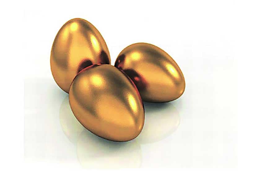 mutual fund