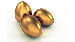 mutual fund
