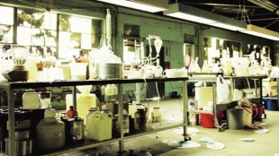 Assistant laboratory technicians