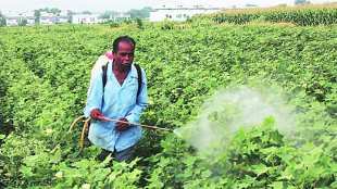 Maharashtra government , Farmers, CBI probe of Farmers , pesticides poisoning , Loksatta, Loksatta news, Marahti, Marathi news