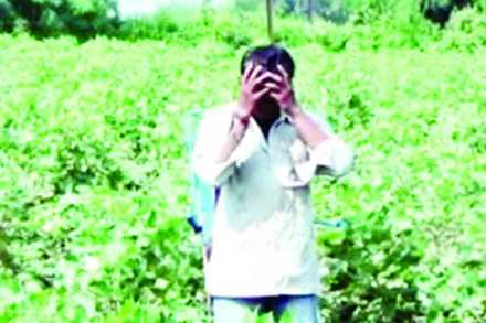 farmers death