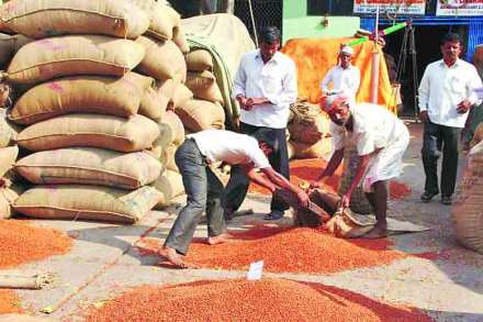 विदर्भ : सत्ताकेंद्र असूनही विकासाचा वेग मंदावलेलाच!