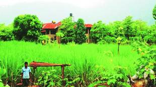 Thane district, Thane District Rural Part