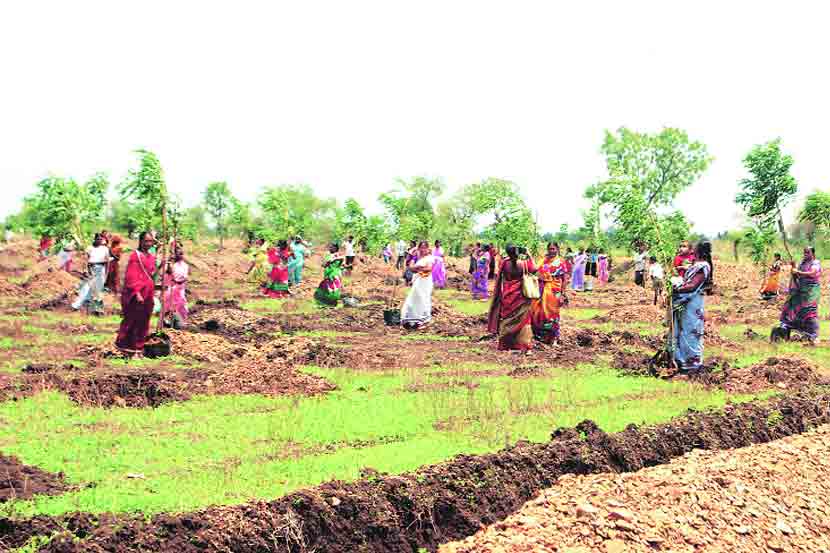 वृक्षाचा वाढदिवस साजरा करताना गावातील महिला