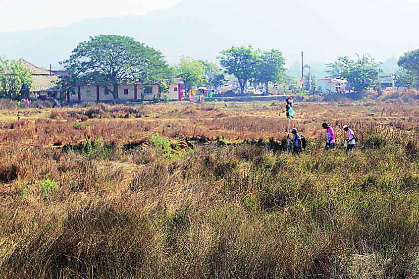 ( संग्रहीत प्रतिकात्मक छायाचित्र )