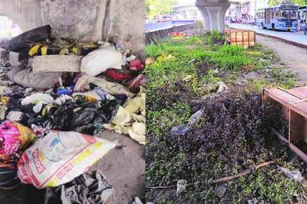 उड्डाणपुलाखालील मोकळ्या जागा अतिक्रमणांच्या विळख्यात सापडलेल्या असतानाच या जागांमध्ये कचरा आणि राडारोडाही टाकण्यात येत आहे. शहराच्या विविध भागांतील उड्डाणपुलाखालील जागांची स्थिती स्पष्ट करणारी ही छायाचित्रे. 