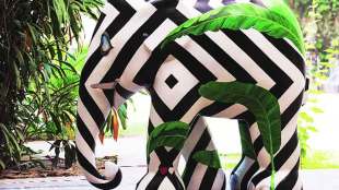 Elephant Festival in mumbai