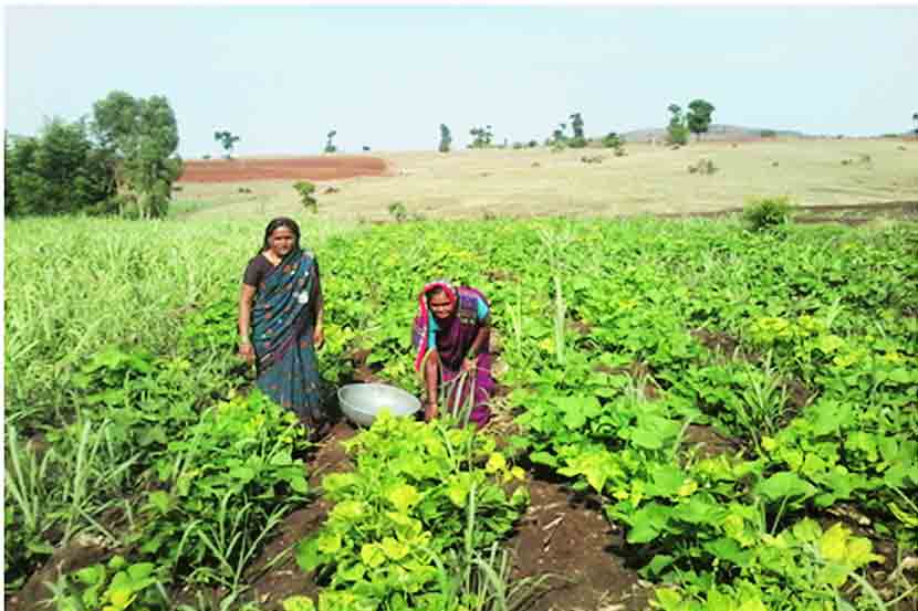 woman farmers
