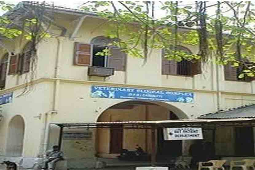 सांभाळ न करता आल्याने दत्तक प्राण्यांची रुग्णालयात रवानगी