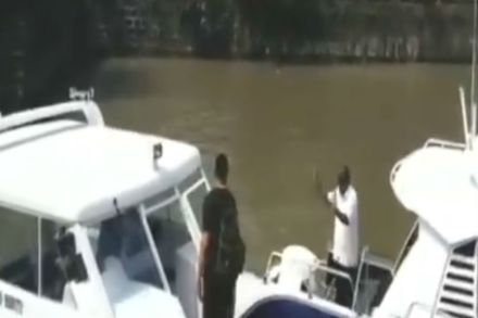 तू अलिबाग विकत घेतला नाहीस; शेकाप आमदार जयंत पाटील शाहरुखवर भडकले