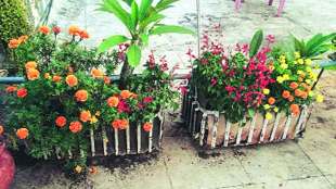 Terrace Garden