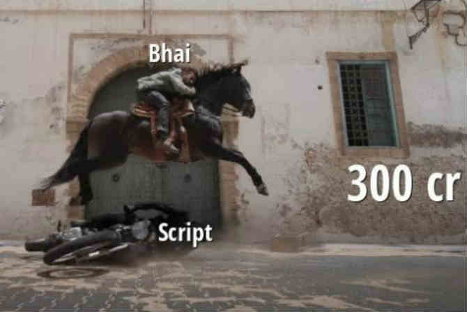टायगर जिंदा है
