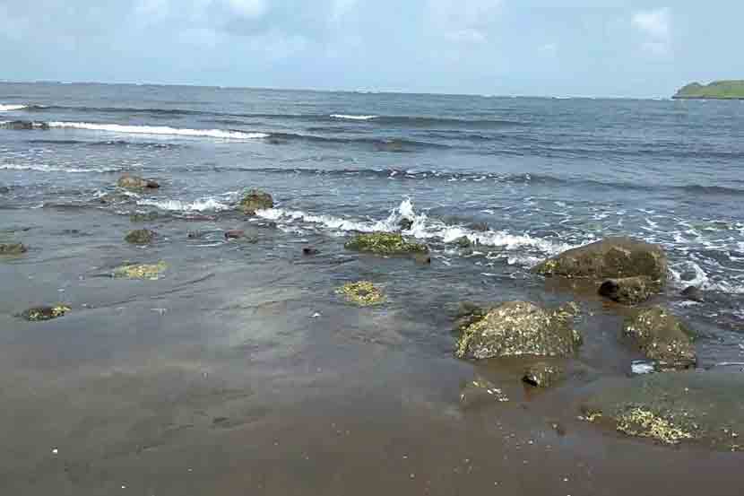 (प्रतिकात्मक छायाचित्र )