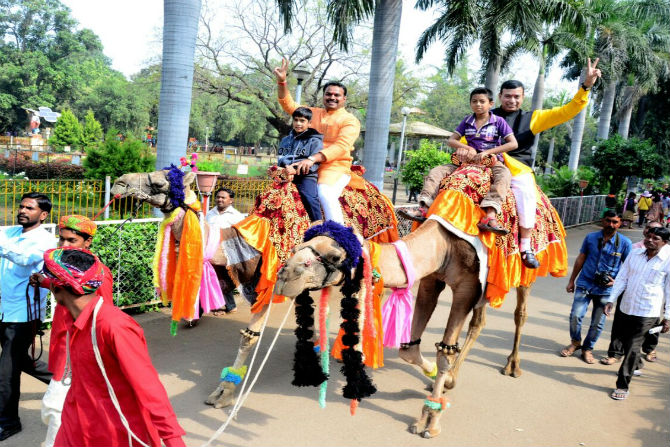 Mayors, Camel Safari, Aurangabad, marathi news, marathi, Marathi news paper, Marathi news online