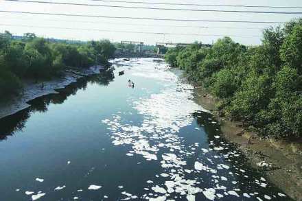 सोपारा खाडी प्रदूषित