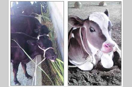 दृष्टी बदला, शेती परवडेल!