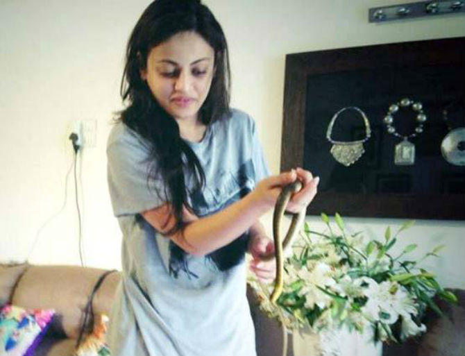 न घाबरता सापांशी खेळते ‘ही’ अभिनेत्री