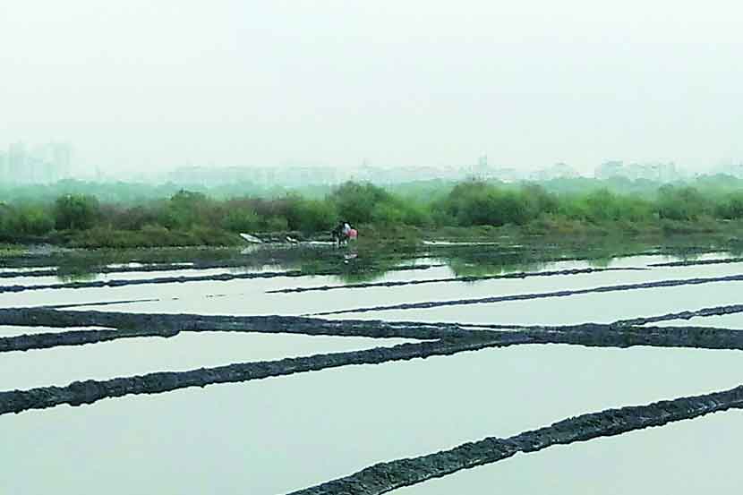 Salt production Salt production